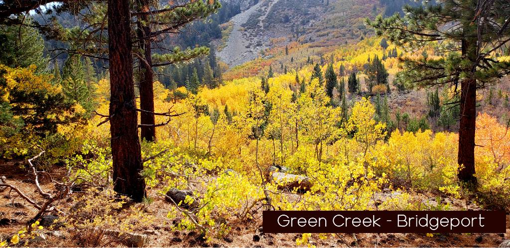 Showcase Green Creek Bridgeport ca