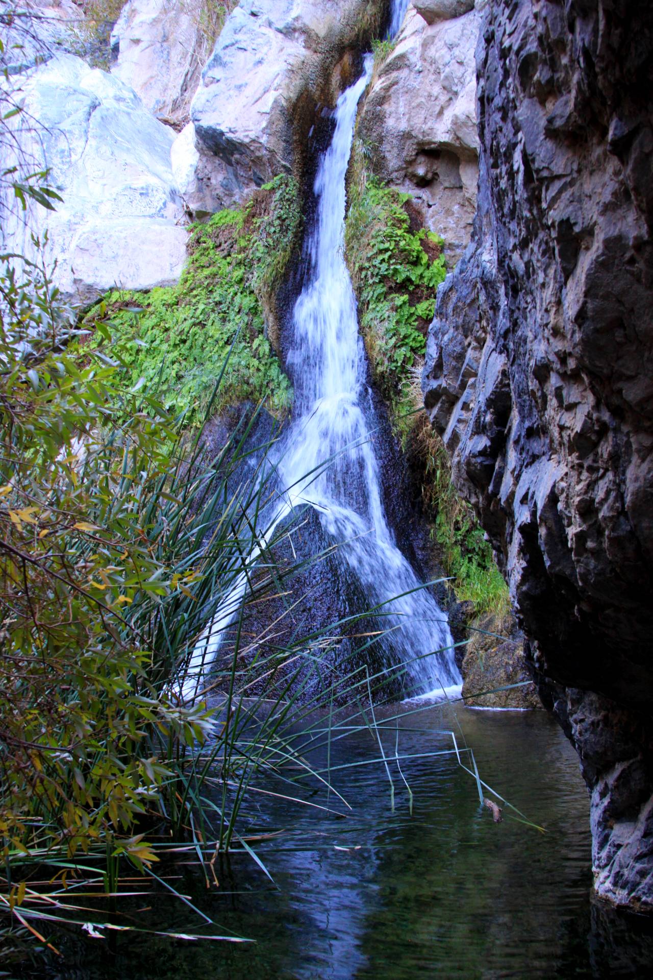 Darwin Falls Death Valley National Park