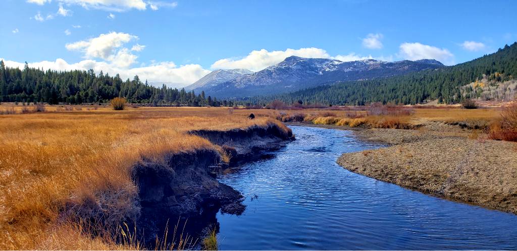 a river runs through a field with mountains in the background