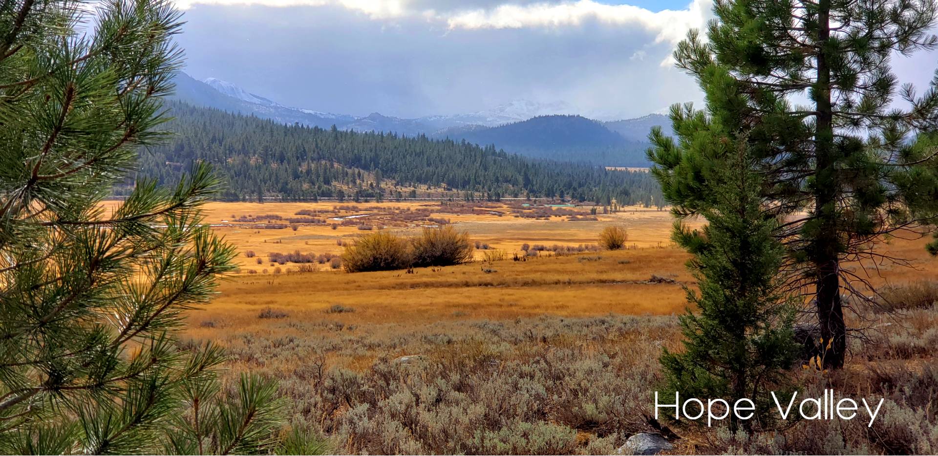 hope valley, california, usa