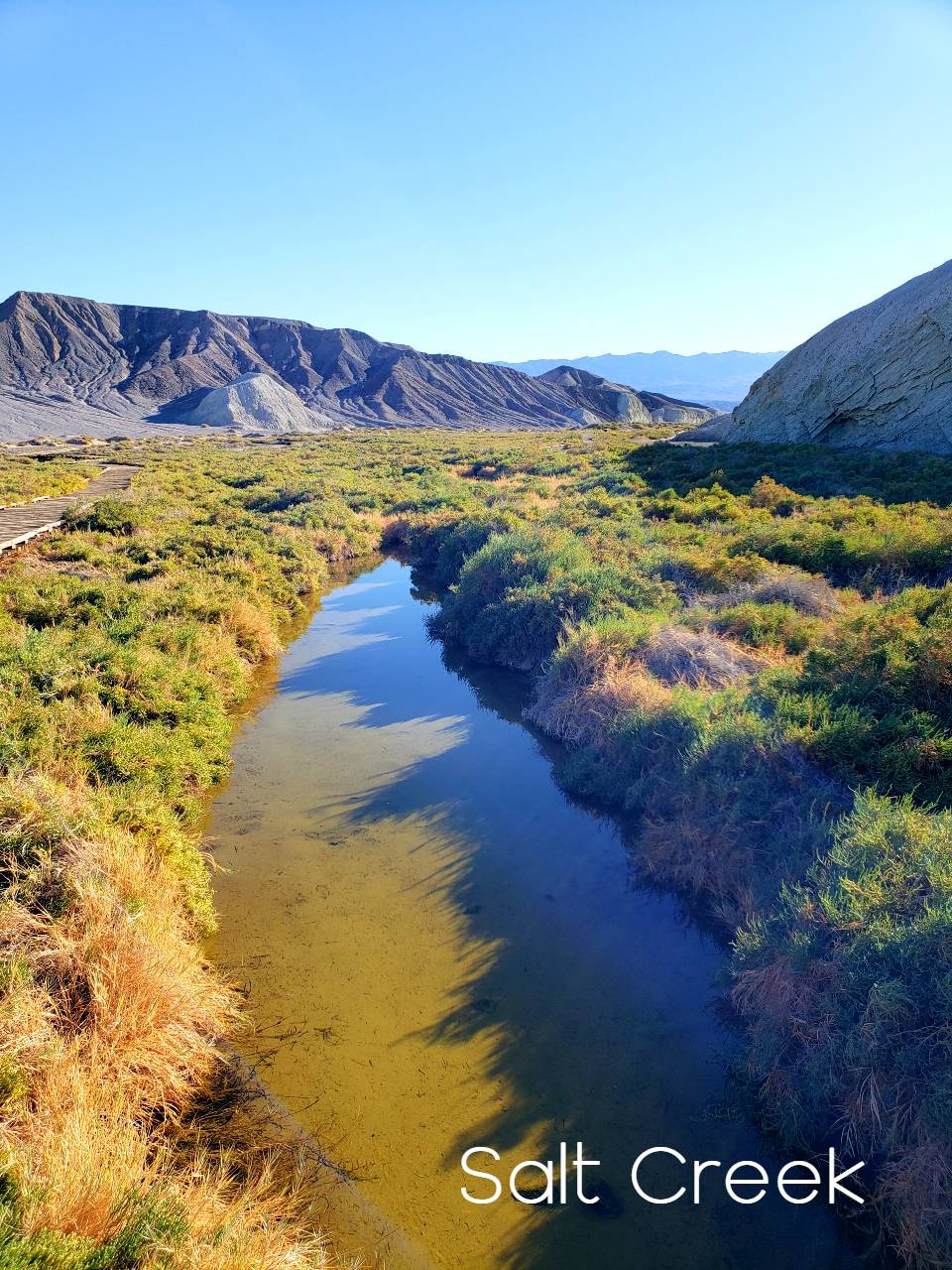 Unraveling the Delights of Death Valley’s Refreshing Spring Escapes