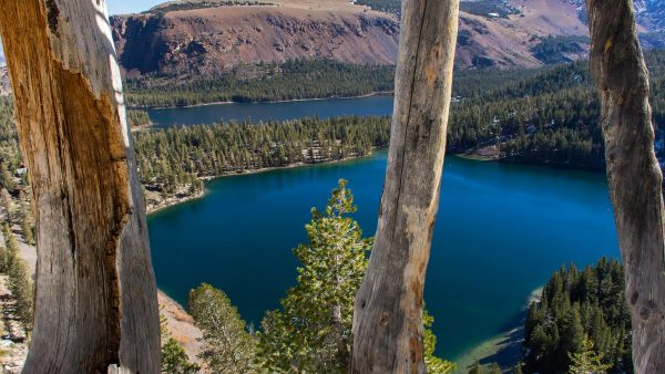 a blue lake in the background