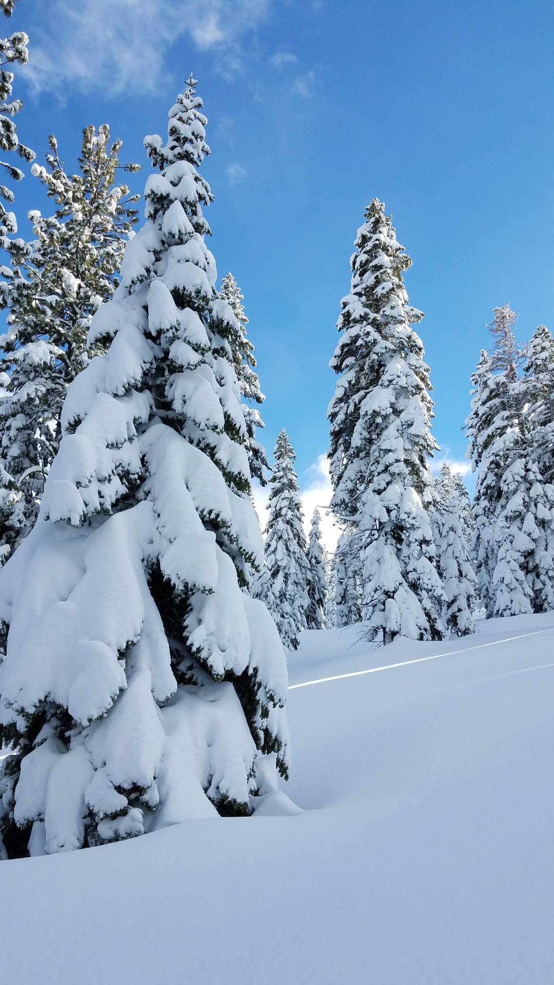 The Sierra Blanketed In Snow
