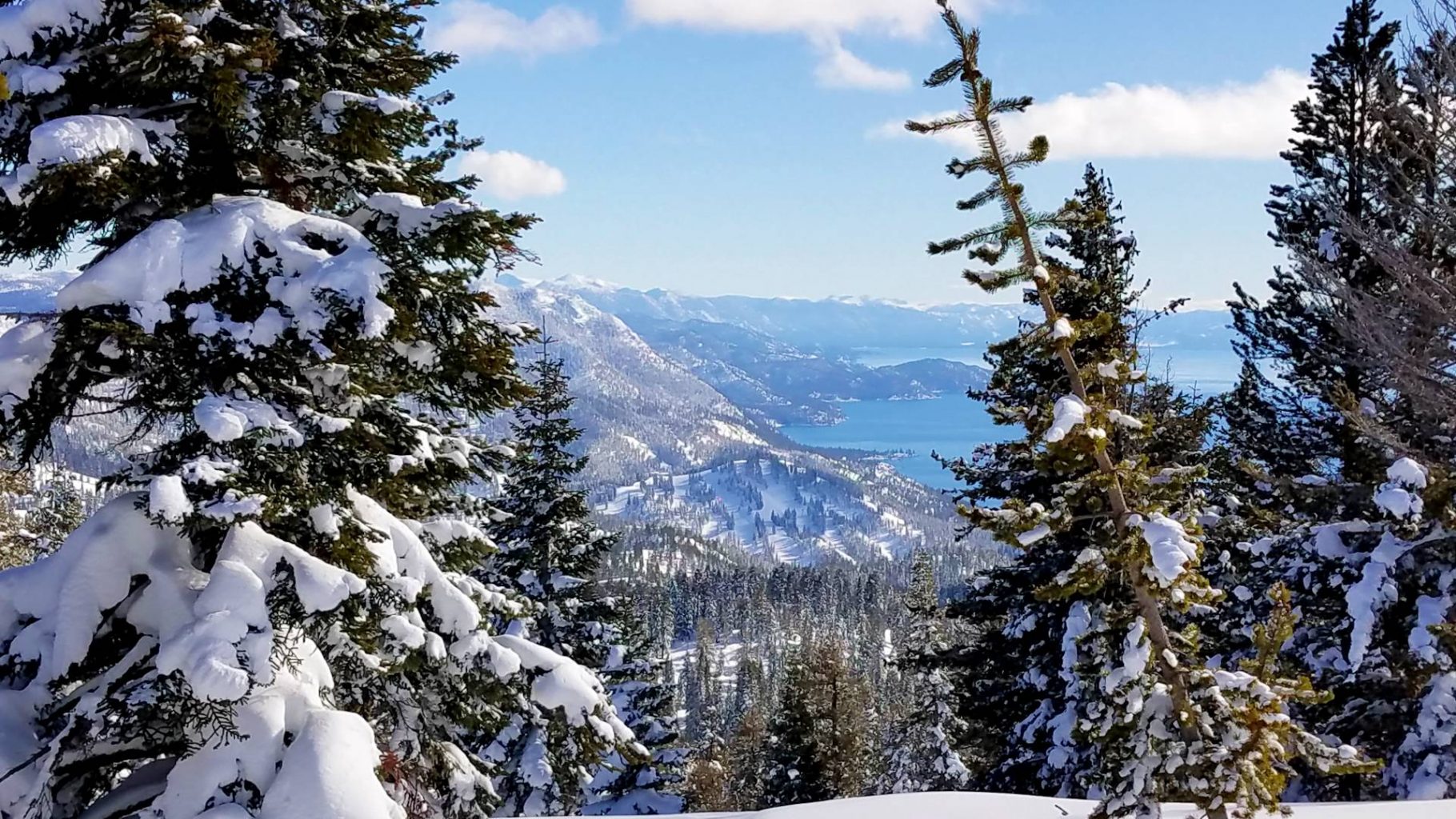 Lake tahoe from chickadee Ridge