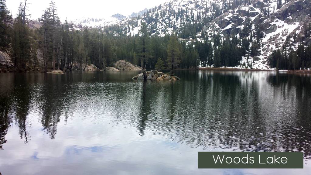 a lake surrounded by trees and snow