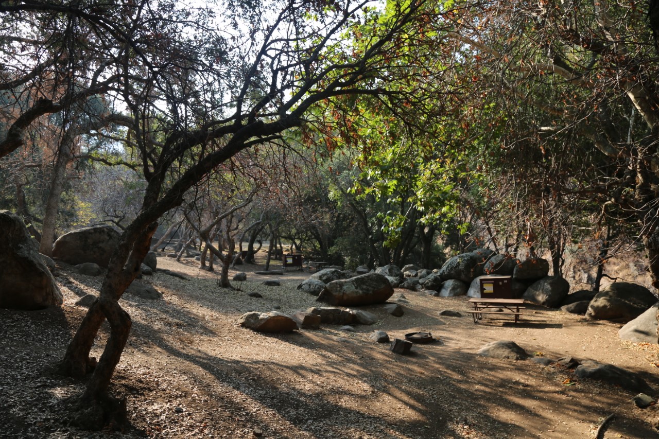 Camping Reservations Required for 2021 Summer Season in Sequoia and Kings Canyon National Parks