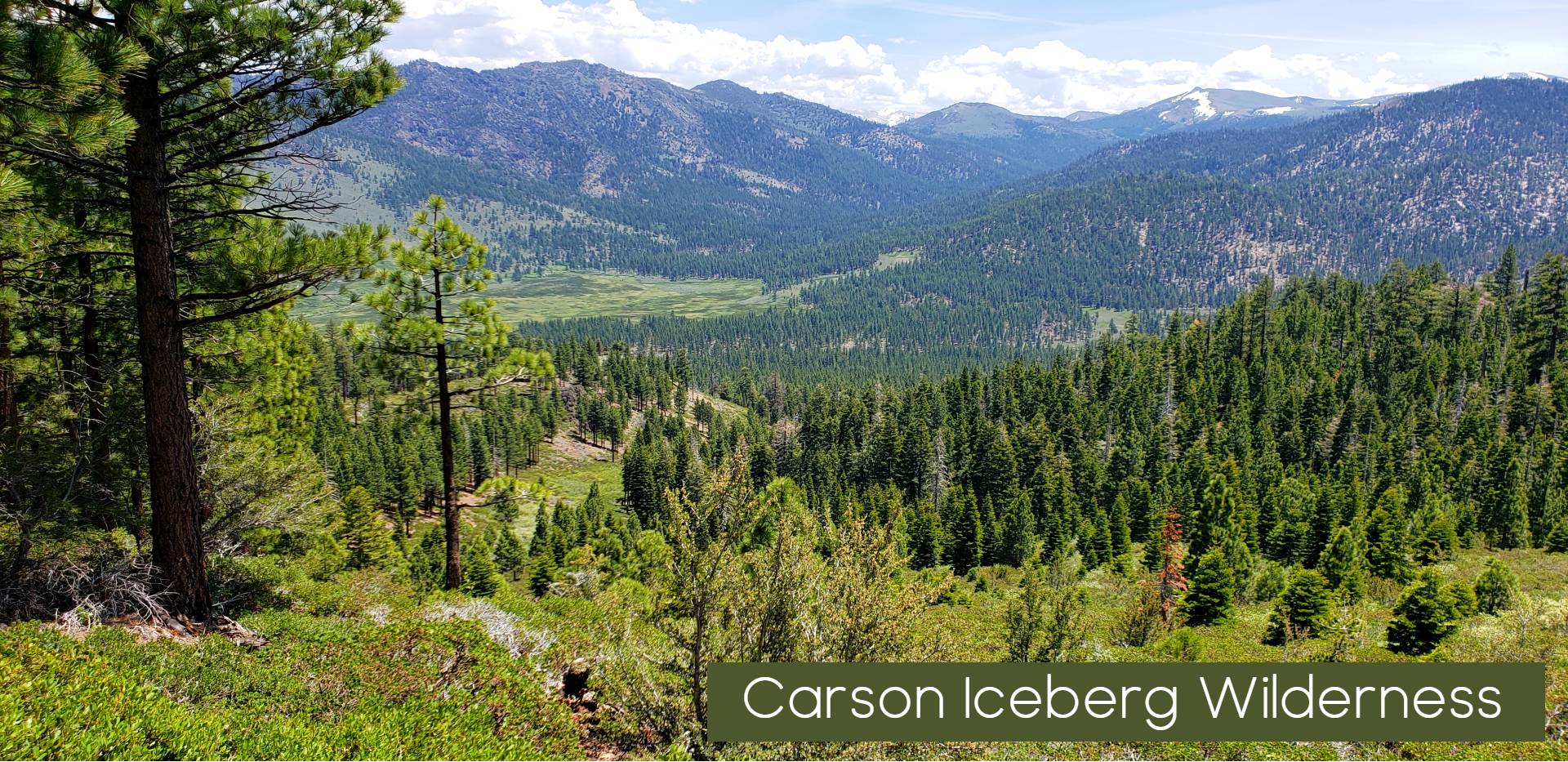 high trial carson iceberg vista