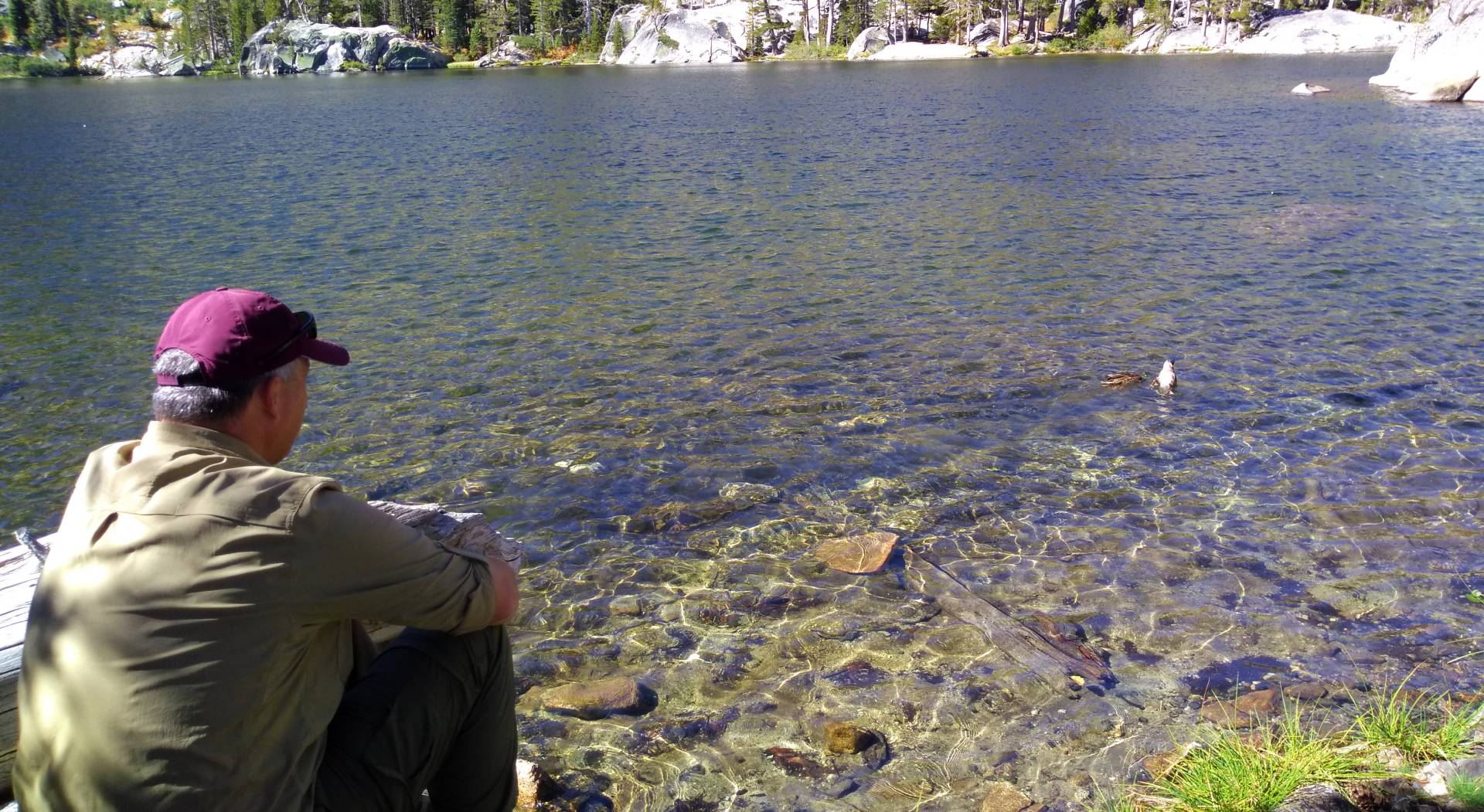 Mental Health and the Power of Go!