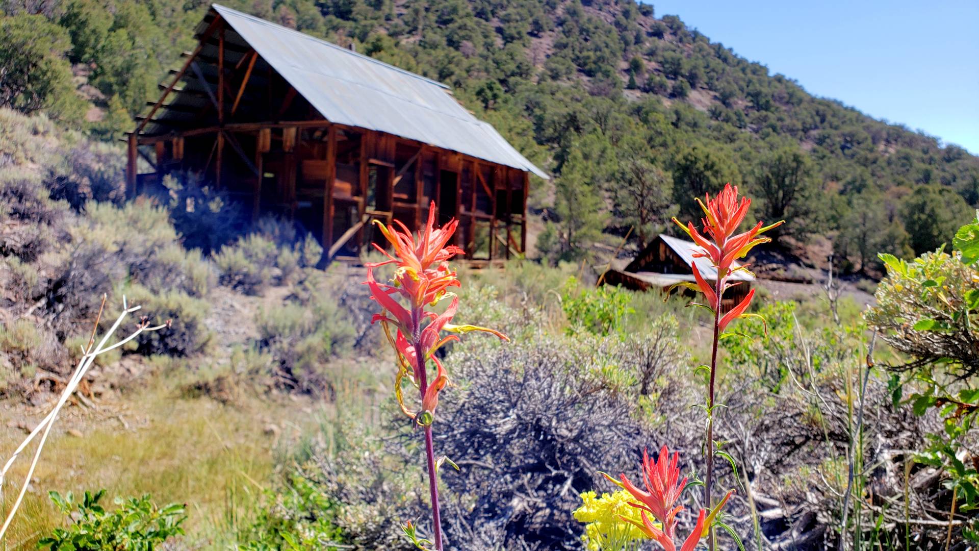 THE BUREAU OF LAND MANAGEMENT CELEBRATES 75TH BIRTHDAY IN 2021