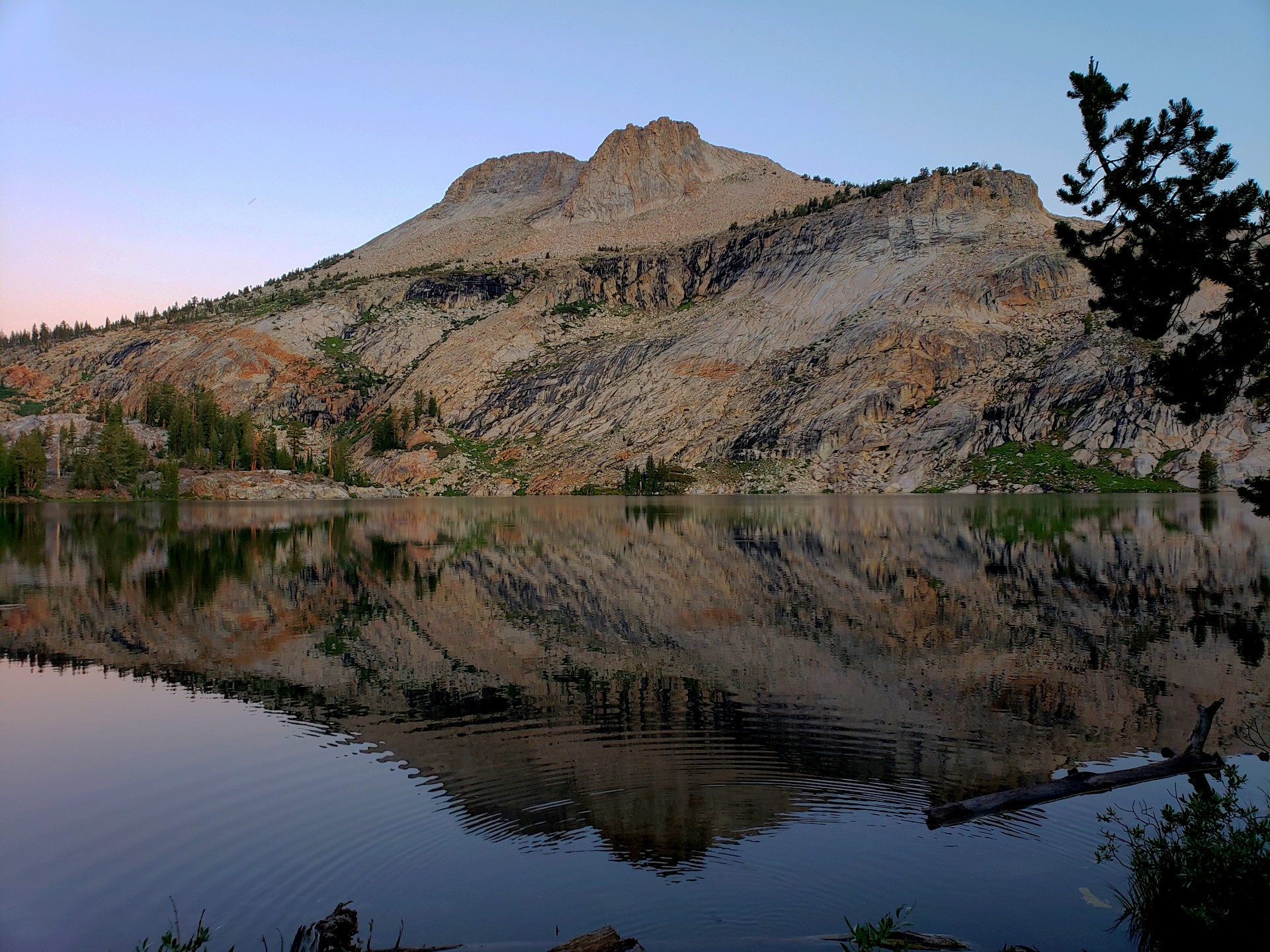 Buzz Off: A New Era of Mosquito Protection in the Sierra