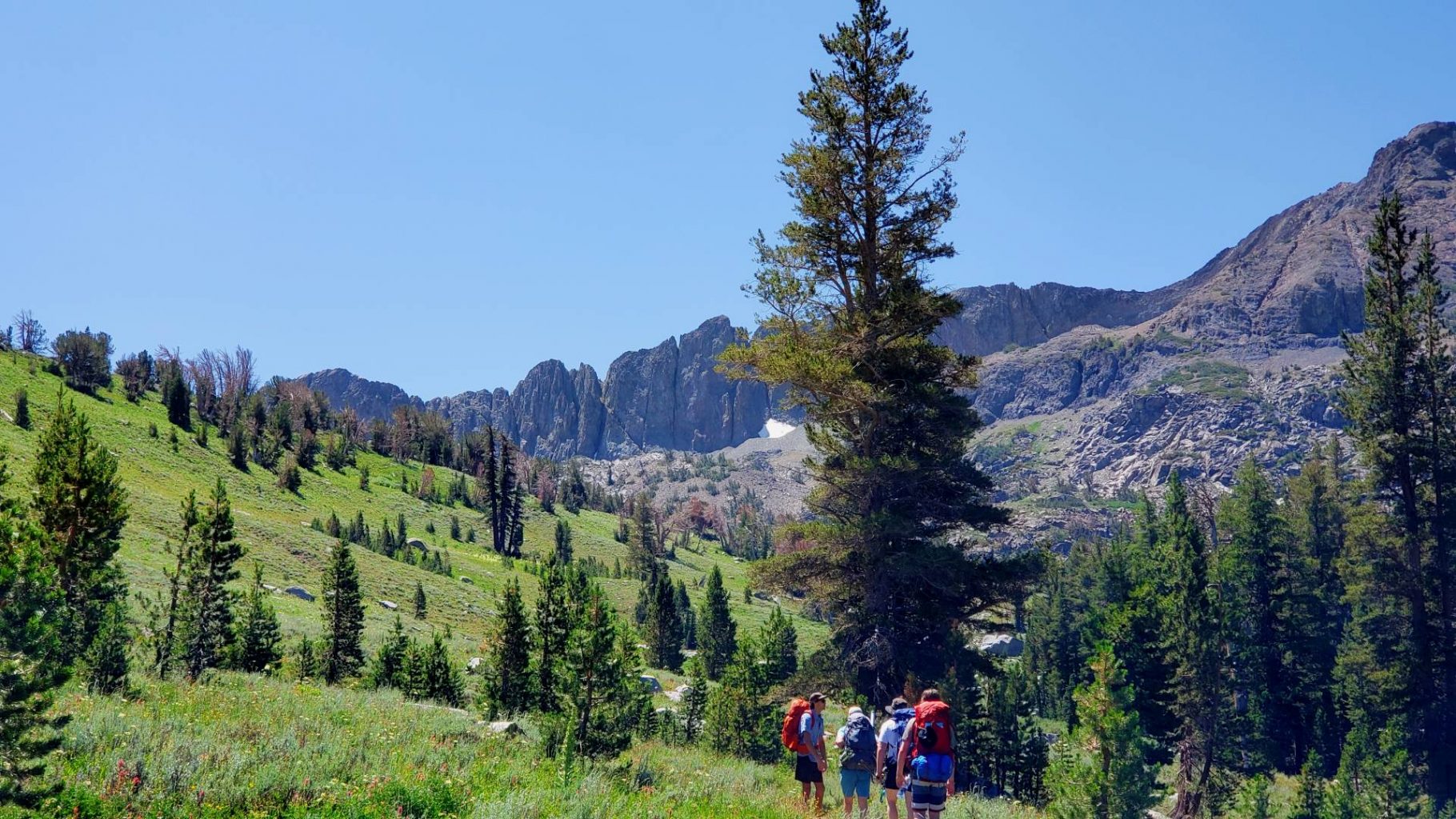 backpackers on trail in Mokelumne Wilderness