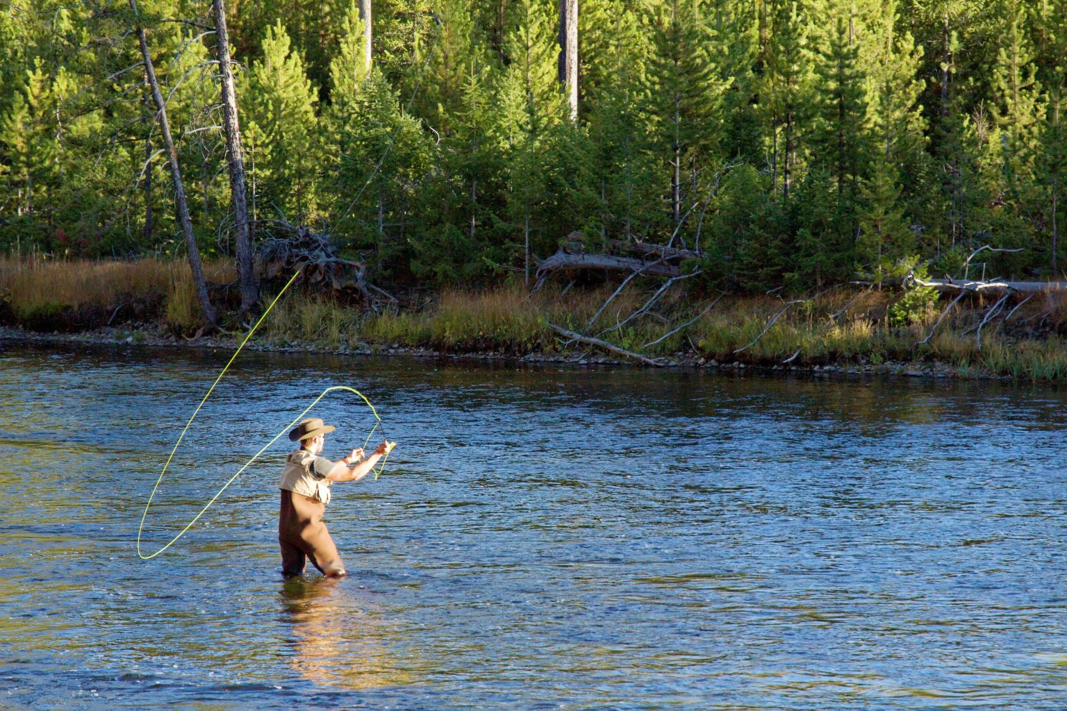 Guy fishing River
