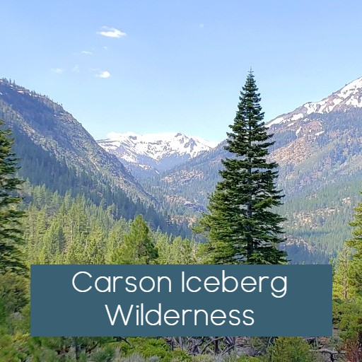 carson iceberg wilderness