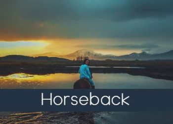 Horseback tilepexels-akın-akdağ-4527199