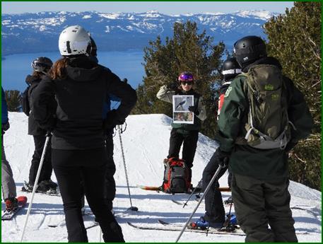 a small stream in the woods with trees and grass