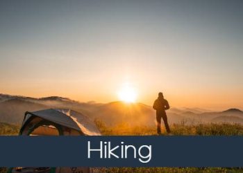 pexels-cliford-mervil-2398220