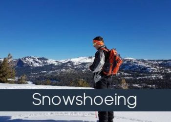 snowshoeing tile-2017-01-01 11.06.05
