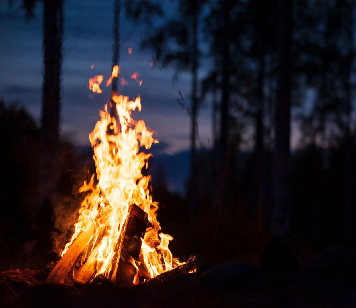 Top Campfire Safety Tips That Everyone Should Know