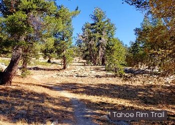 Tahoe rim Trail 2021-10-16 12.18.32