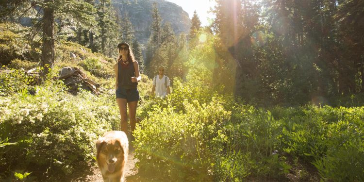 girl and dog on trail