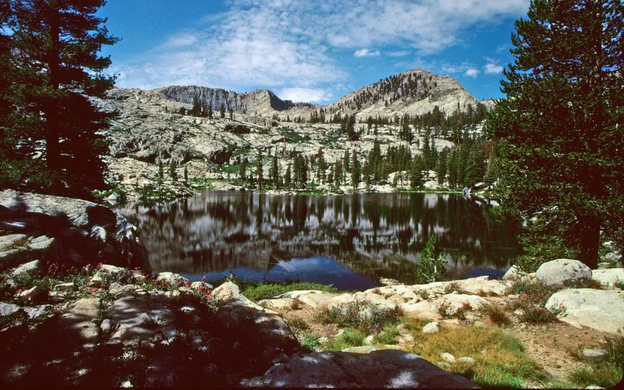 Sequoia Lake