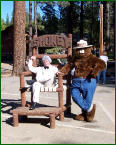 a small stream in the woods with trees and grass