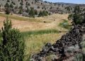 BLM ANNOUNCES FIRE RESTRICTIONS FOR NE CALIFORNIA, NW NEVADA PUBLIC LANDS