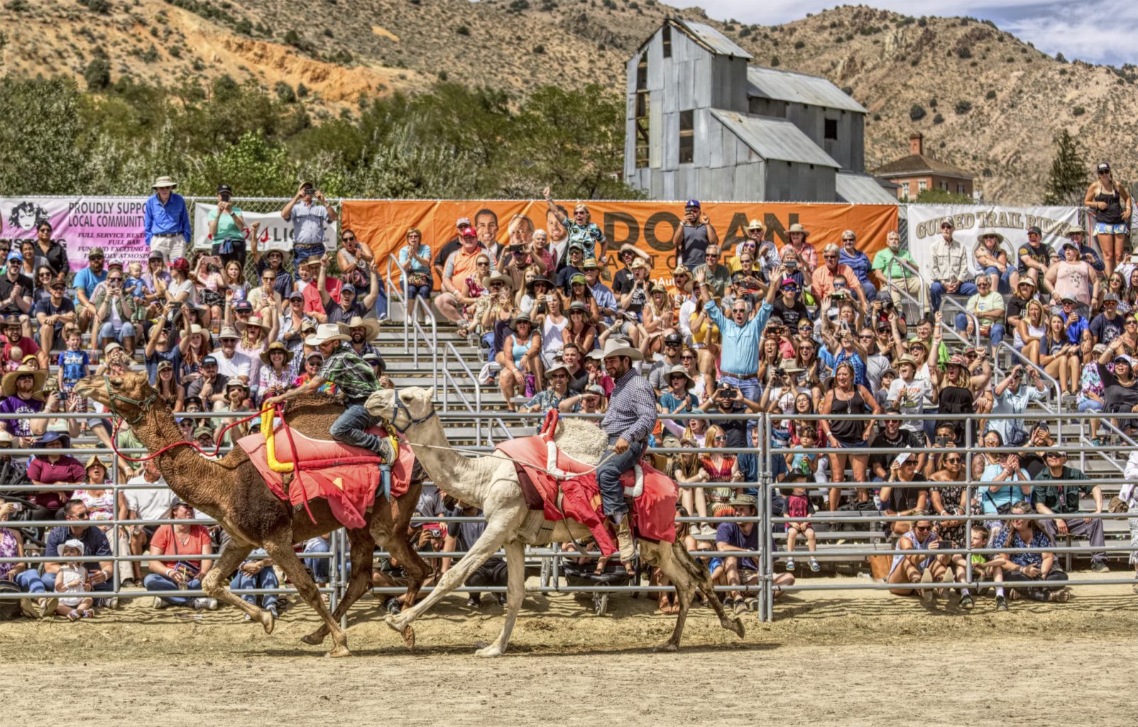 It’s Go Time – Camel Races are Back Sept. 9-11, 2022