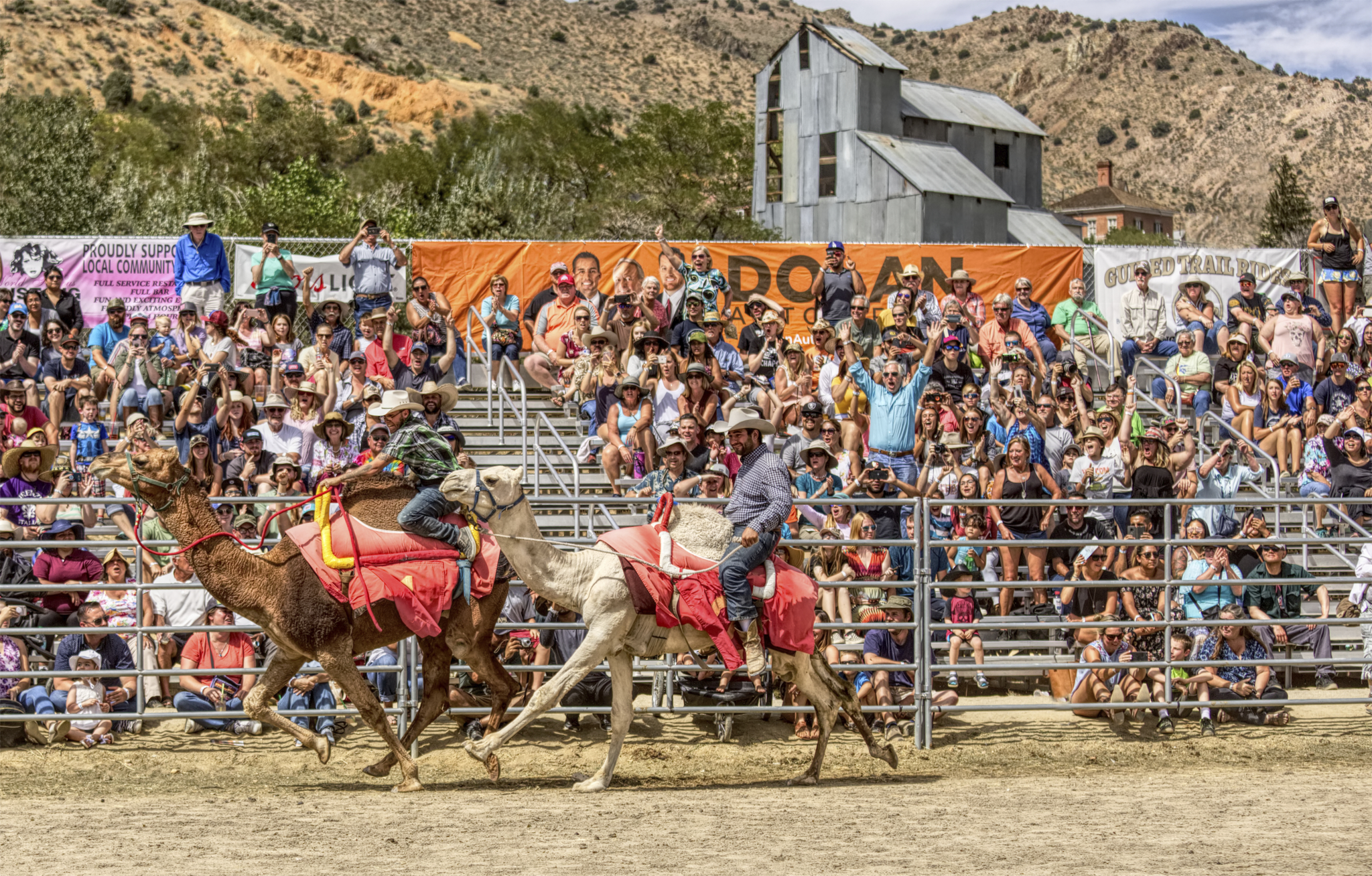 It’s Go Time – Camel Races are Back Sept. 9-11, 2022