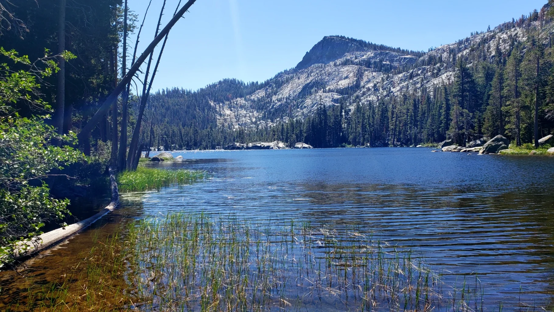 Crag Lake with grass adn rock