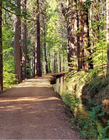 Canal trail Nevada City 20221012_154200