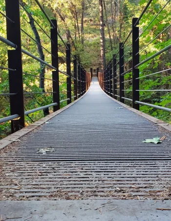 deer creek suspenision bridge nevada city20221012_172756