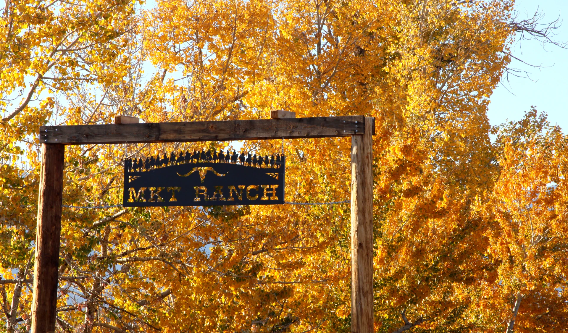 Celebrate Culture, Community, and Carson Valley Adventure