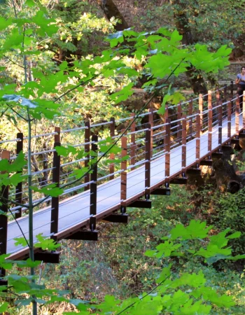 suspensionbridge deer creek nevada cityIMG_6165