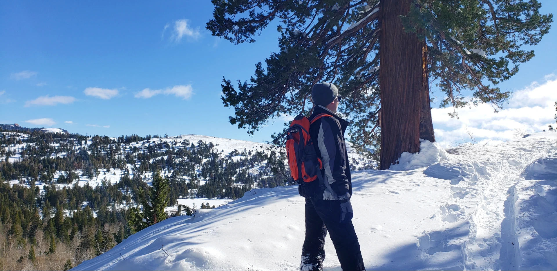 Ten Beginner-Friendly Snowshoe Adventures Around Lake Tahoe