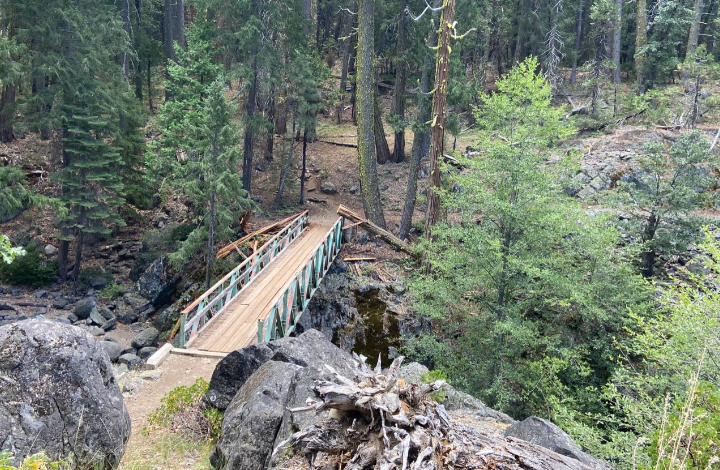 Bridge over creek in Forest