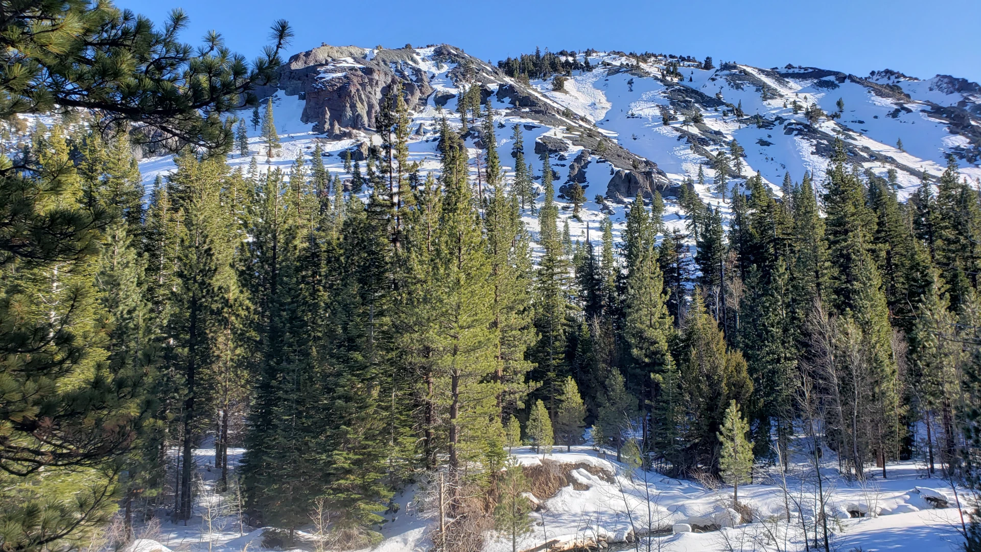 Early December Delivery in the Sierra Nevada