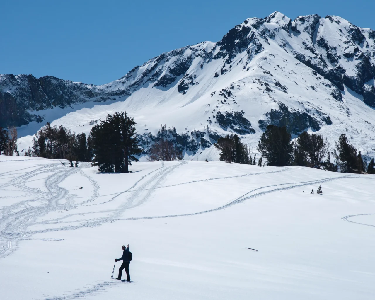 Man snowshoeing on Carson Pass off Highway 88 alpine county California