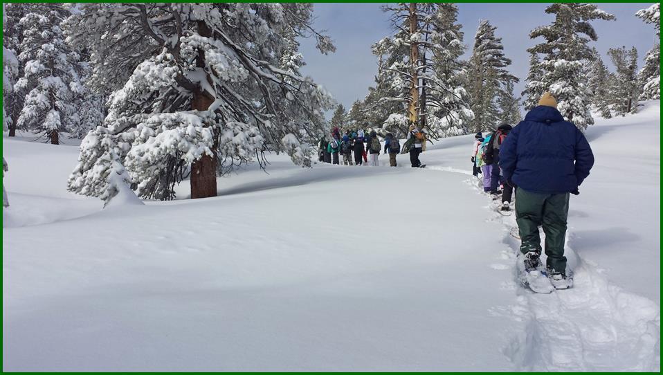 Winter Snowshoeing in Mountains