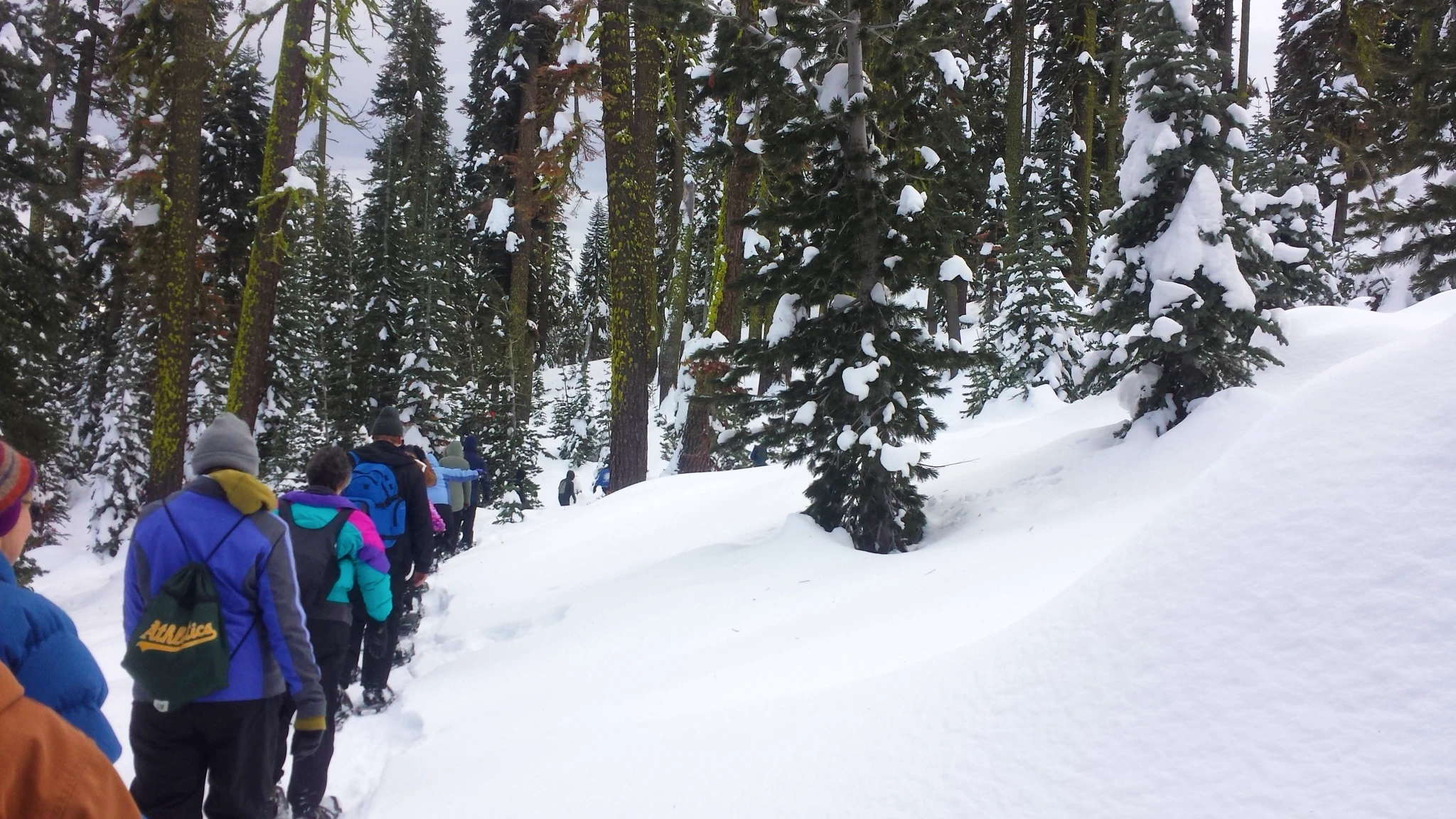 Ranger Lead Snowshoe Hikes in Lassen Volcanic National Park