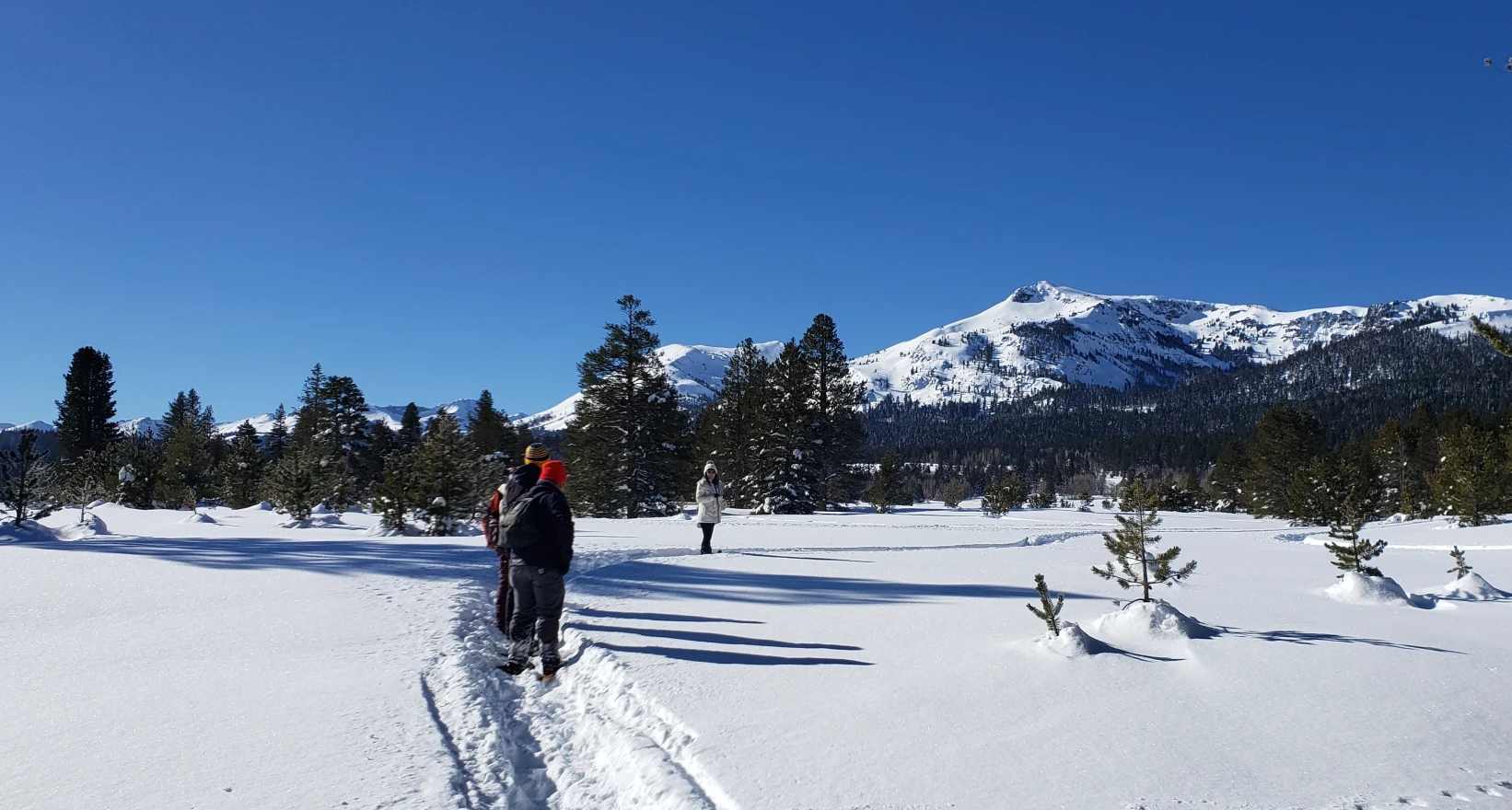 Snow Has Arrived in the Sierra: Where to Snowshoe, Sled, and Play This Holiday Season