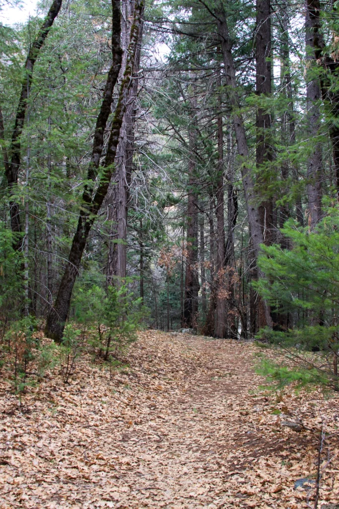 TRail to Indian Falls