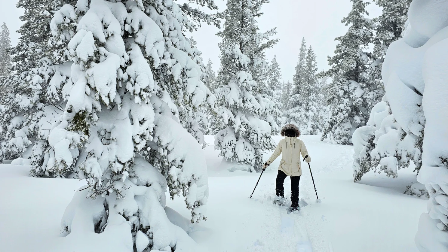 Young Lady Snow Shoeing