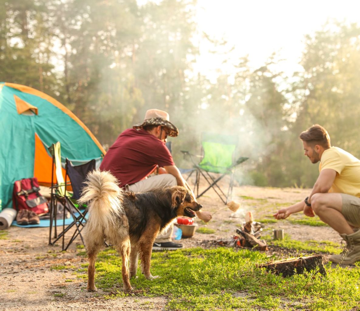 6 Tips for Taking Your Dog on a Weekend Camping Trip
