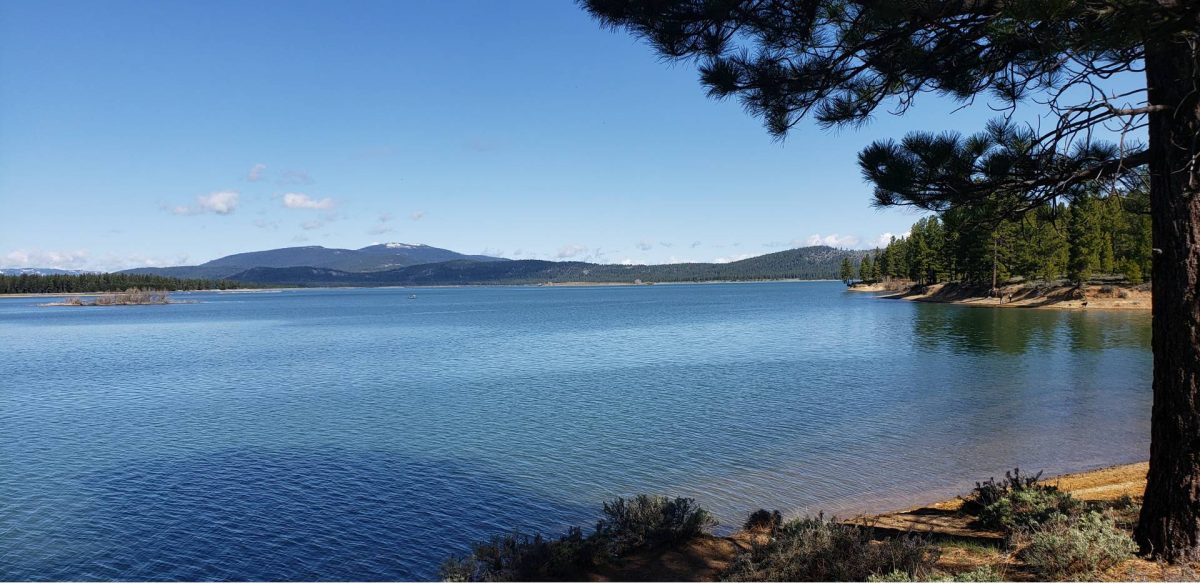 Lake Davis