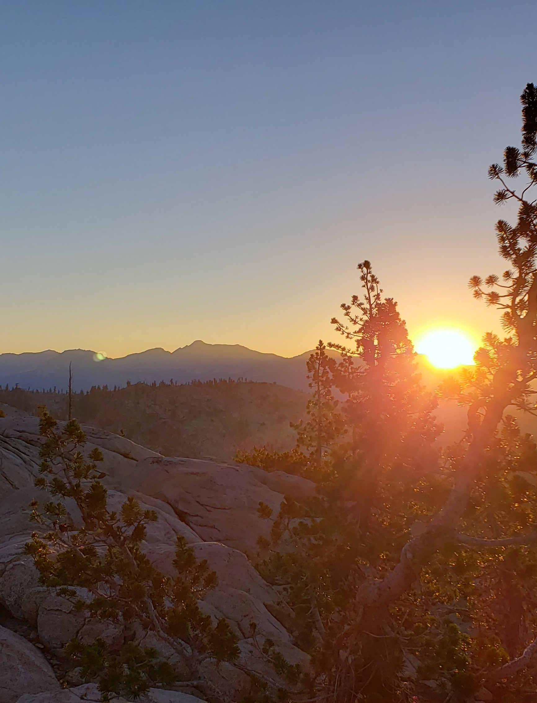 The Heartbeat of The Sierra