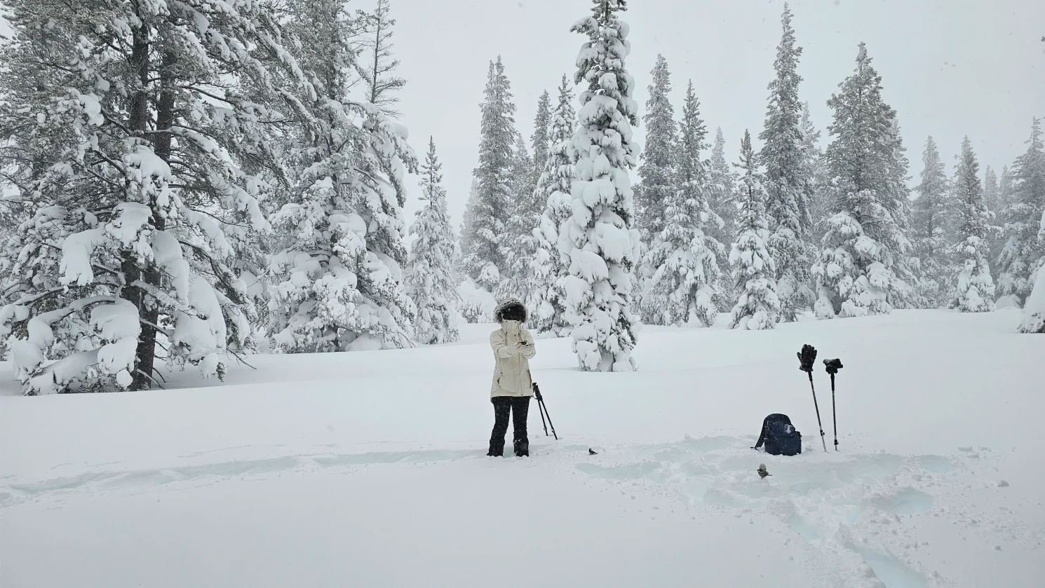 Lady feeding Chickadee near Tahoe in snow