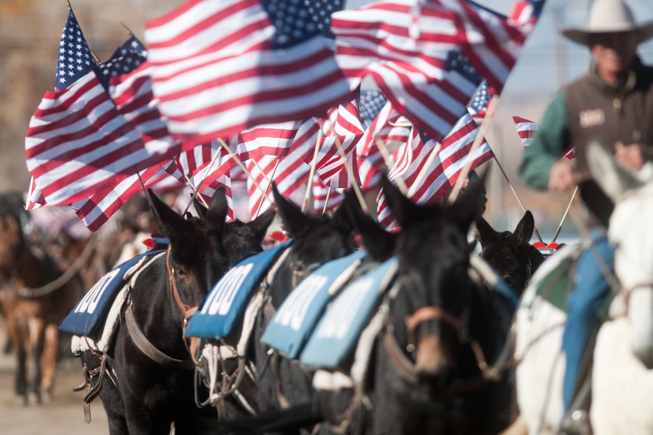 Saddle Up for the 2025 Mule Days Celebration in Bishop