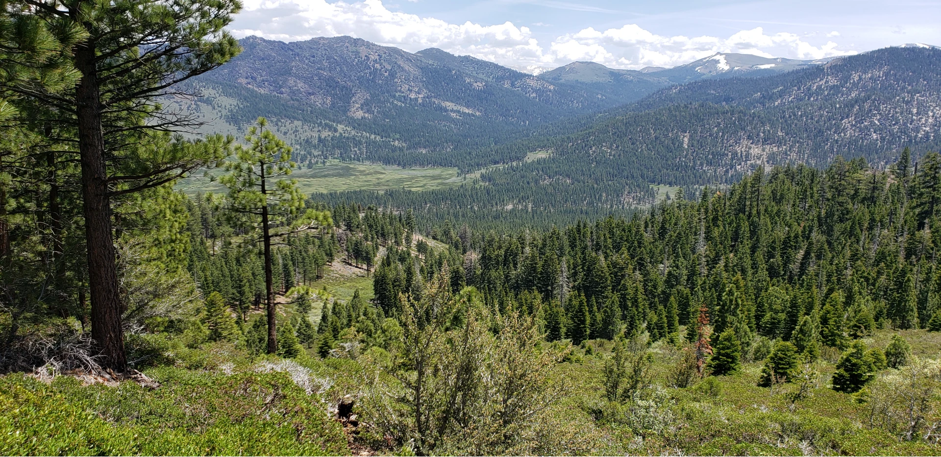 Carson Iceberg Wilderness