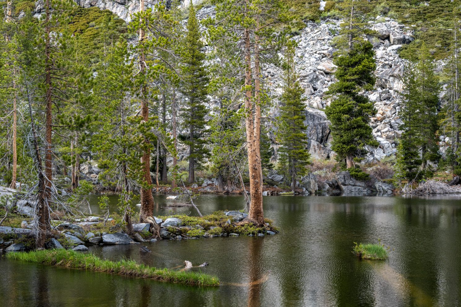 Unnamed wooded Yosemite Lake